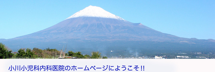 岩本山付近から見た富士山です。